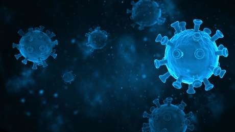 Descubren en murciélagos nuevas variantes de coronavirus con el potencial de infectar a los humanos