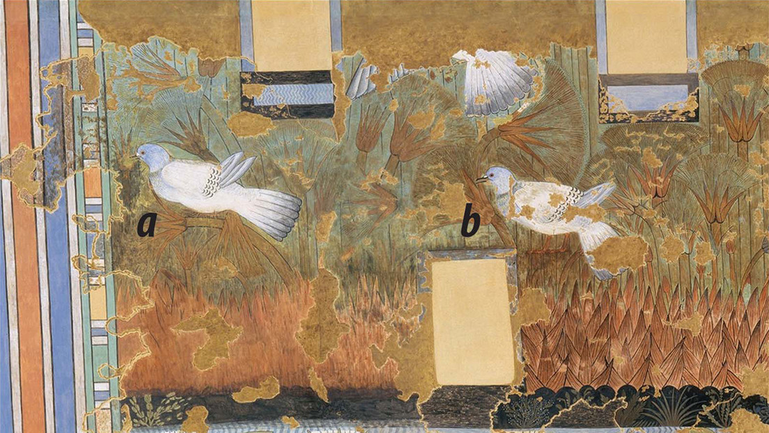 Un fresco del antiguo Egipto era tan detallado que logran identificar las especies de aves pintadas en él
