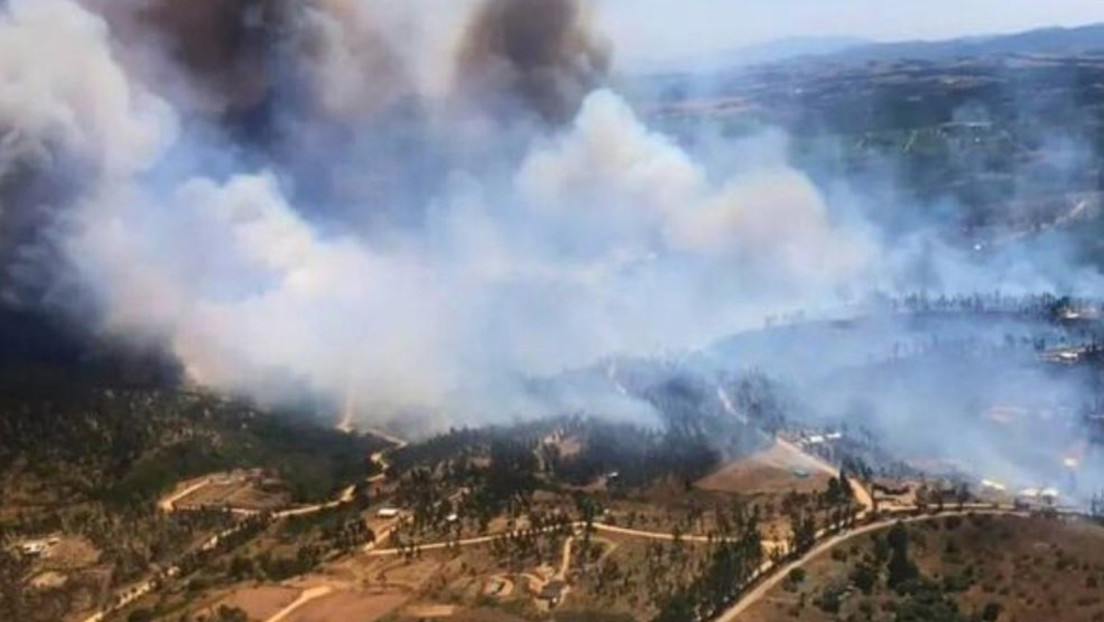 Los incendios forestales y las altas temperaturas azotan a Chile (VIDEOS)