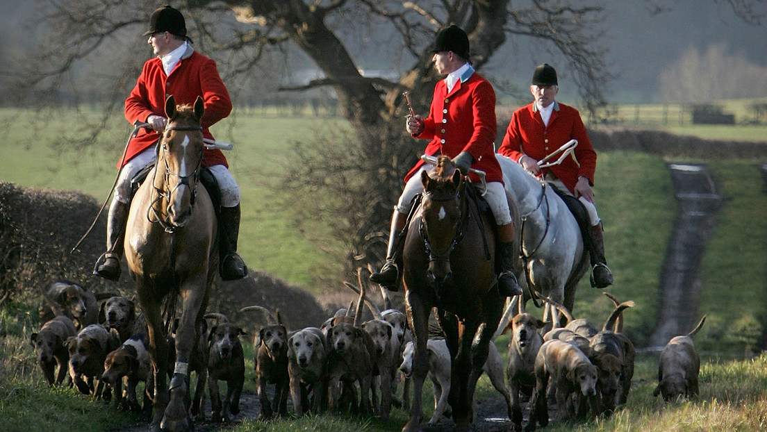 Activistas ya no podrán monitorear la caza de animales en territorio del Ministerio de Defensa británico