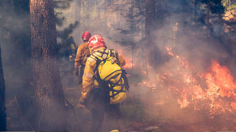 Un voraz incendio en la provincia argentina de Tierra del Fuego arrasa 8.000 hectáreas