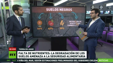 Falta de nutrientes: la degradación de los suelos amenaza a la seguridad alimentaria