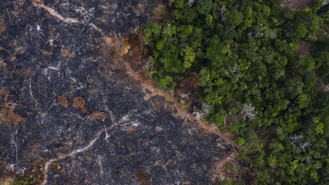 Noruega desbloquea fondos para reducir la deforestación en la Amazonía brasileña