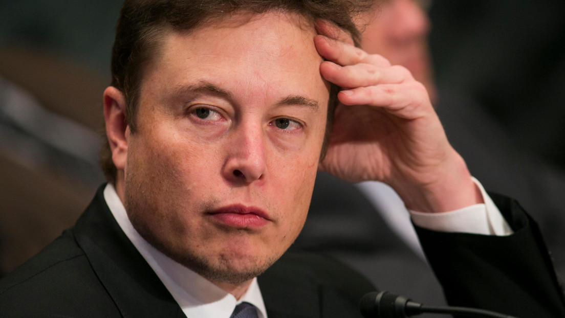 Musk pregunta a los internautas si debería dedicarse a la política, y esto opina la mayoría