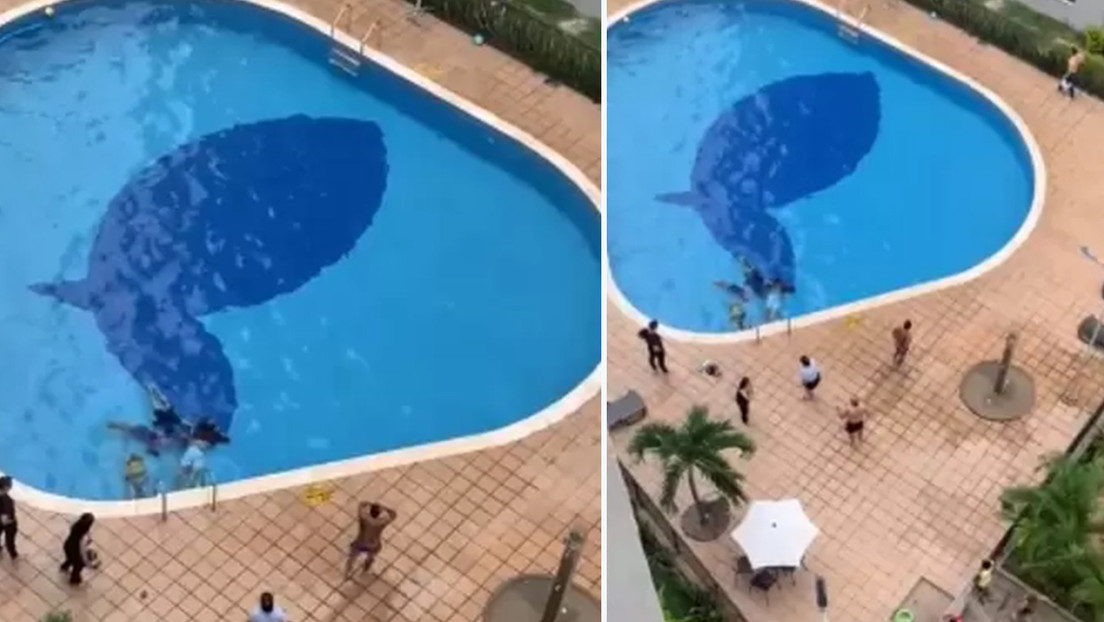 Dos niños y dos adultos sufren lesiones al electrocutarse mientras nadaban en una piscina en Colombia (VIDEO)