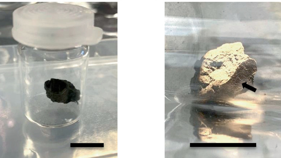 Encuentran indicios del origen de la vida en un raro meteorito que se estrelló en la Tierra