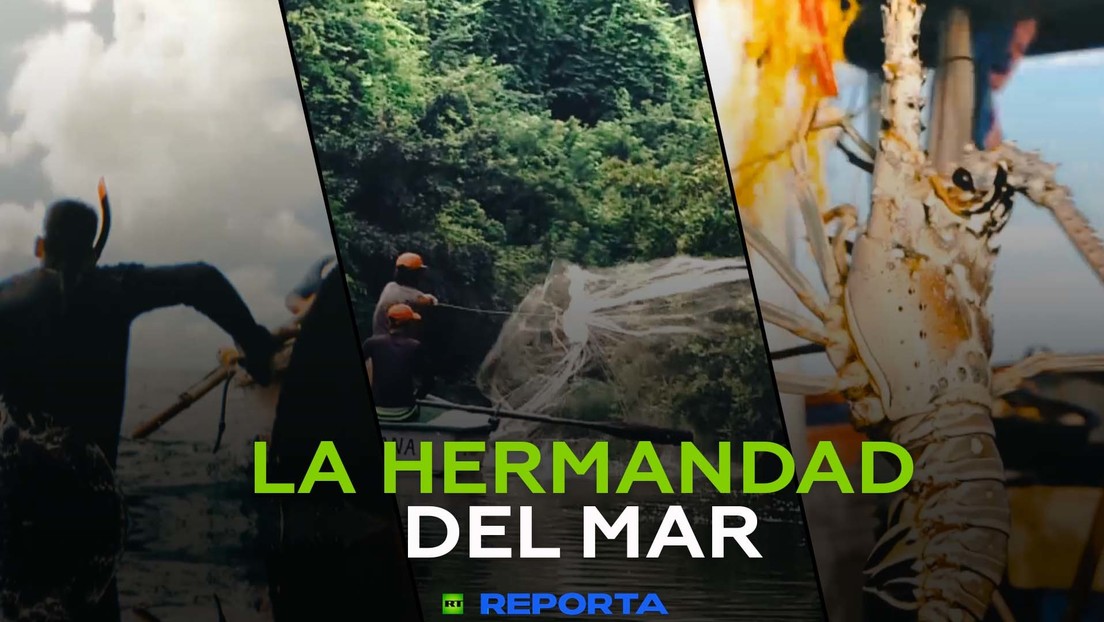 La hermandad del mar