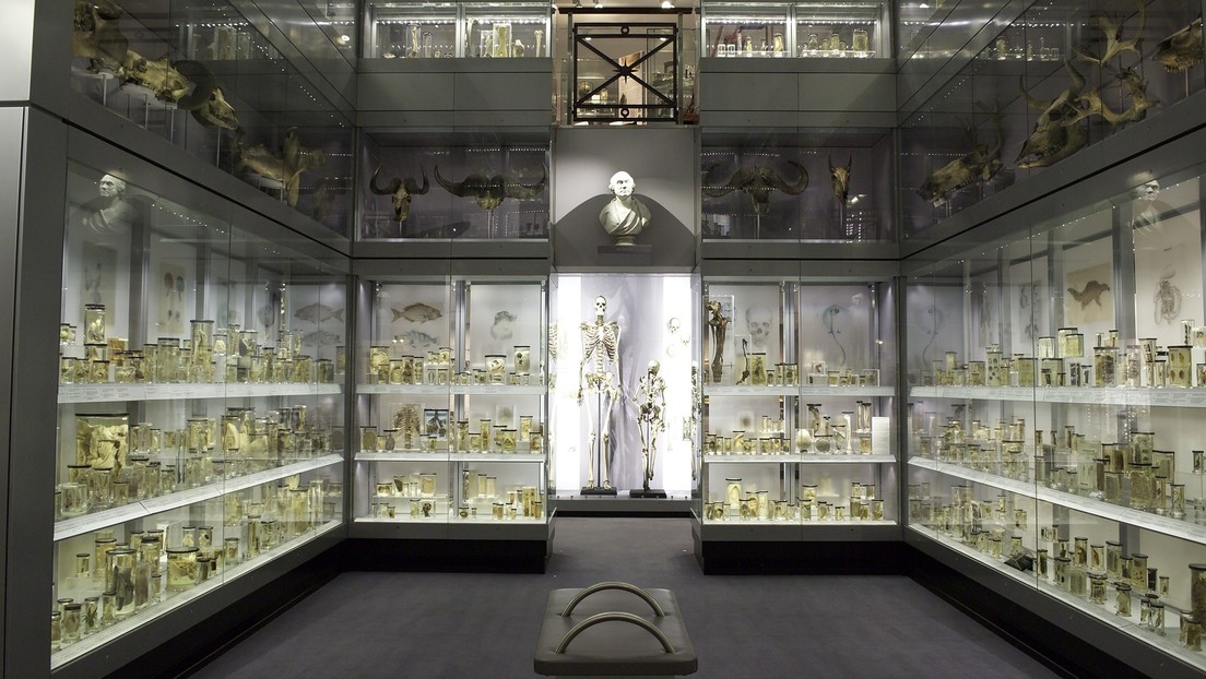 El esqueleto de un hombre que temía convertirse en una pieza de museo al fin será retirado de una exhibición tras 200 años