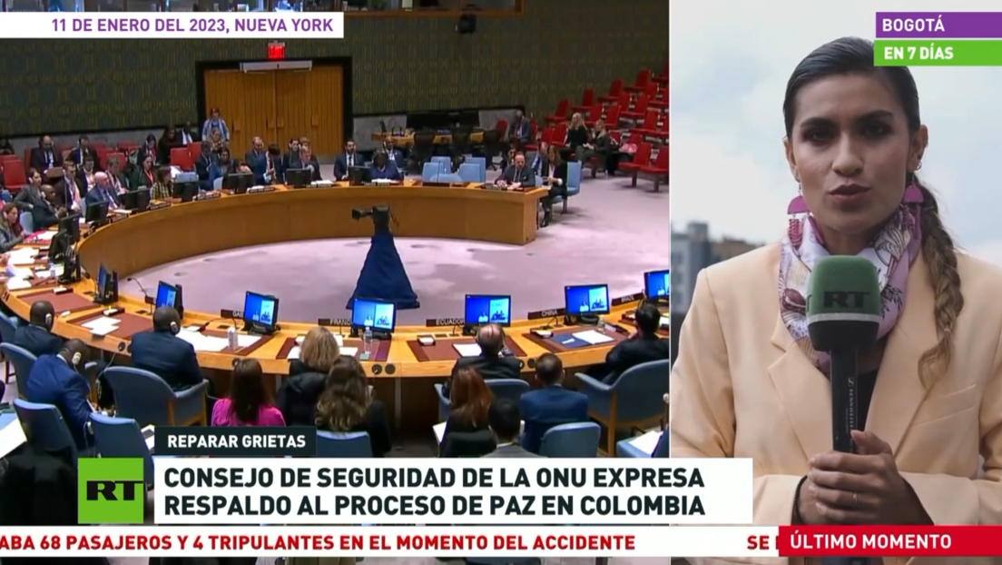 El Consejo de Seguridad de la ONU expresa su respaldo al proceso de paz en Colombia