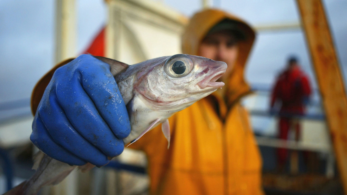 Comer un pescado de agua dulce en EE.UU. equivale a un mes de beber agua contaminada
