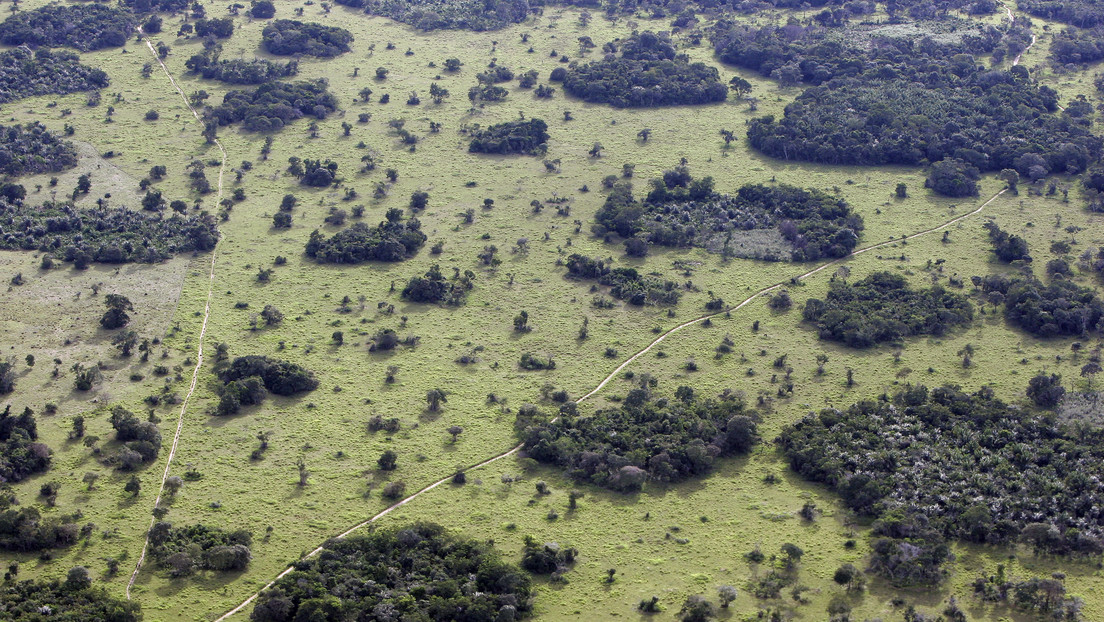 Por qué científicos alertan que la devastación total de la Amazonía está en un punto irreversible