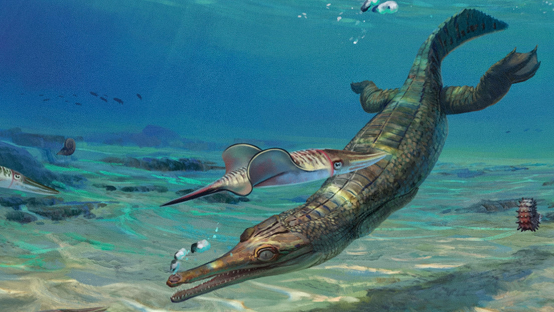 Descubren un ancestro de los cocodrilos que vivía en el mar hace 185 millones de años