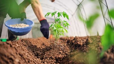 El precio de los fertilizantes cae a su nivel más bajo en 19 meses