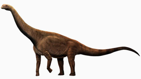 Descubren fósiles de dinosaurio del Jurásico en la provincia china de Hubei
