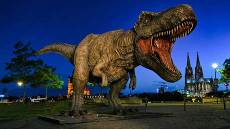 Fuerte revuelo por un estudio que sugiere que los T-Rex eran tan inteligentes que habrían sido capaces de usar herramientas