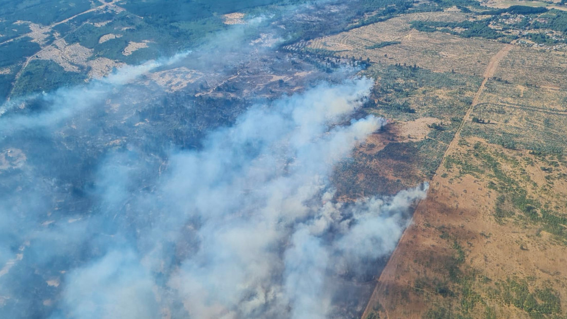 Gobierno de Chile confirma cuatro muertos por incendios forestales en el centro del país