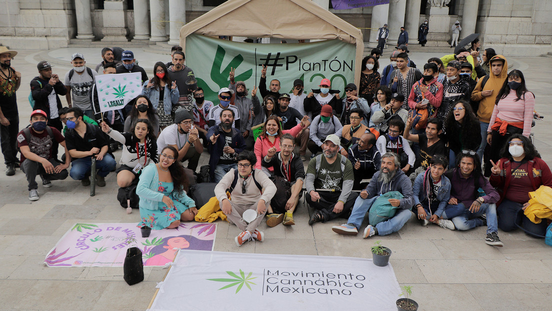 Levantan en Ciudad de México el 'plantón' que desde hace 3 años pedía la legalización de la marihuana