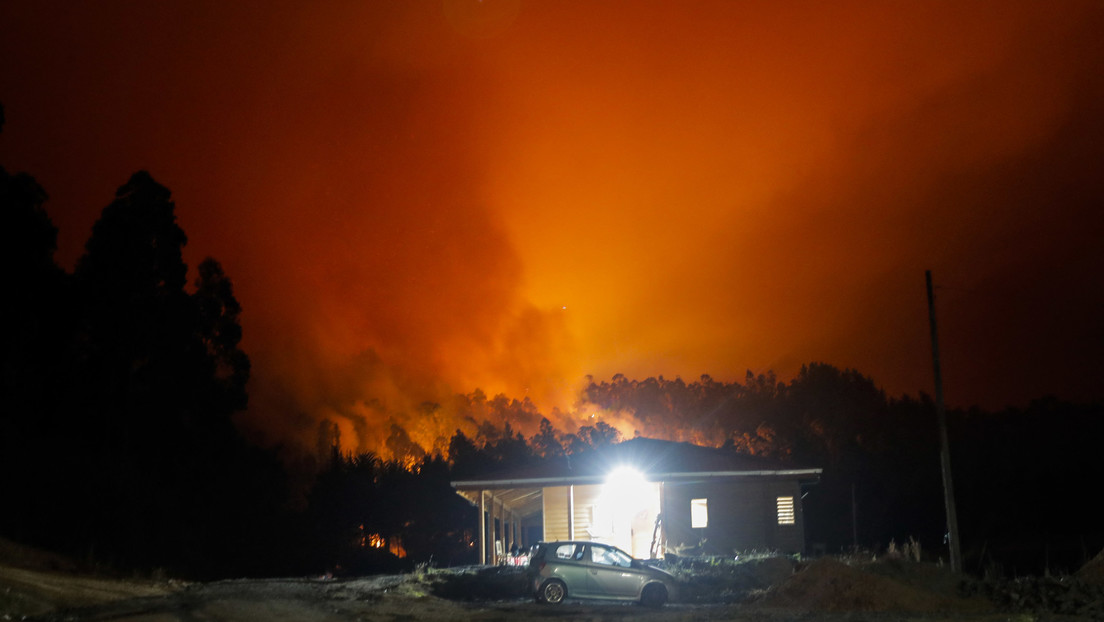 VIDEO: Una familia se refugia en su piscina para salvarse de un incendio forestal en Chile