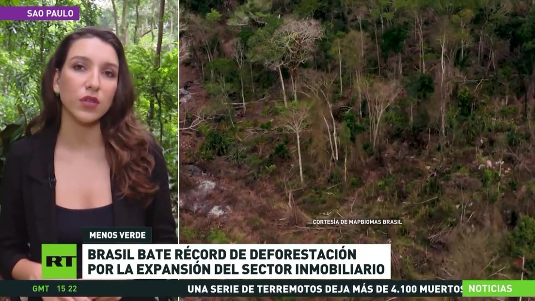 Brasil bate el récord de deforestación por la expansión del sector inmobiliario