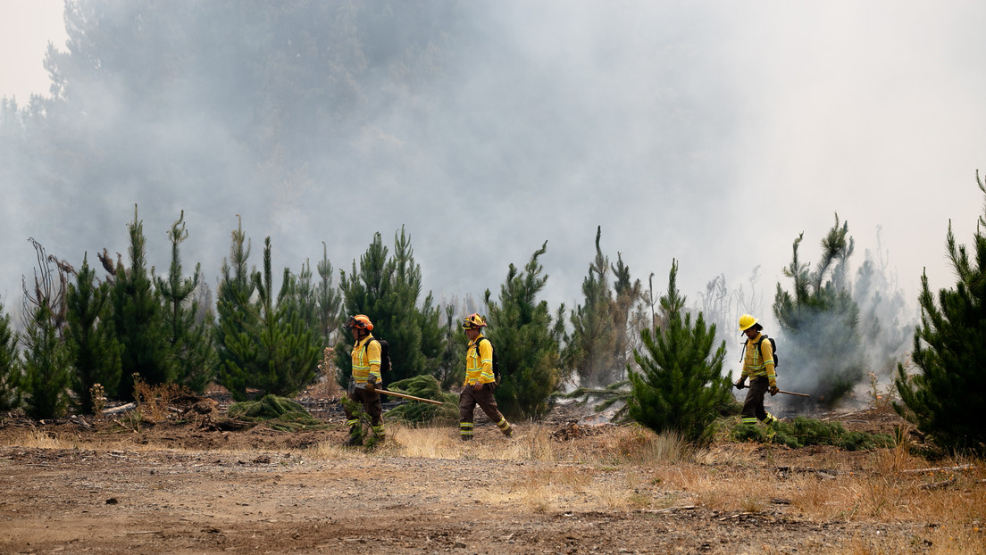 Más de 400.000 hectáreas arrasadas: los incendios no dan tregua a Chile y la emergencia continúa