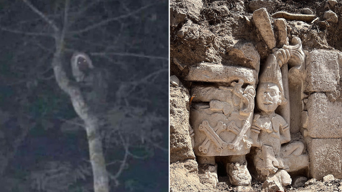 López Obrador comparte la foto de una supuesta criatura mítica en las obras del Tren Maya