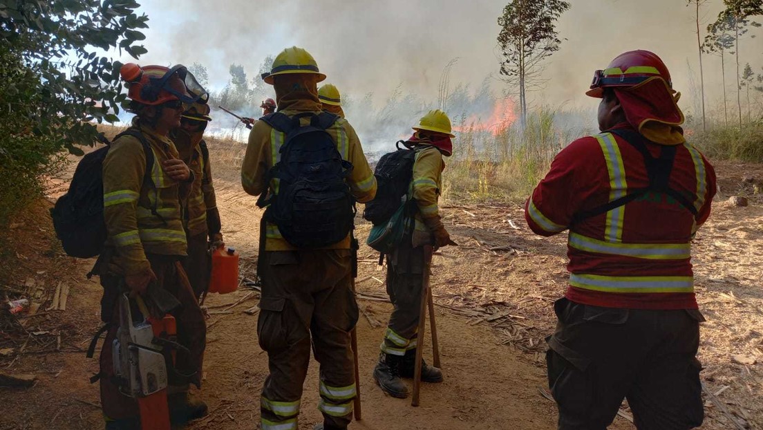 Chile declara "contenido" un incendio forestal que afectó durante 25 días a comunas de Biobío