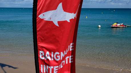 Una ola de ataques de tiburones en una playa del Pacífico deja un turista muerto