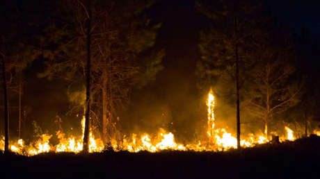 Cuba combate un fuerte incendio forestal que afecta a la provincia de Holguín