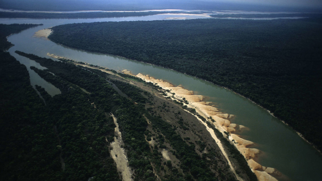 La ONU explica la causa del incremento de asesinatos de indígenas y ambientalistas en la Amazonía
