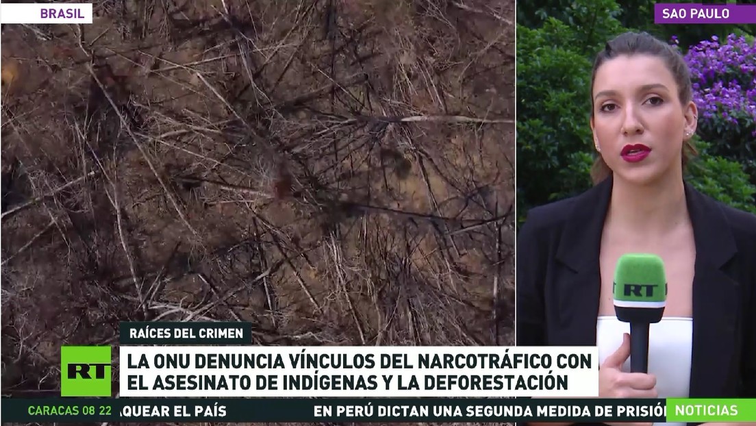 ONU denuncia vínculos del narcotráfico con el asesinato de indígenas y la deforestación del Amazonas