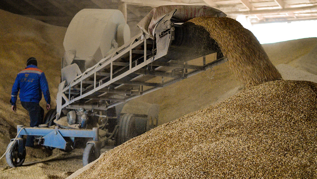 Rusia se muestra dispuesta a extender el acuerdo de granos por 60 días