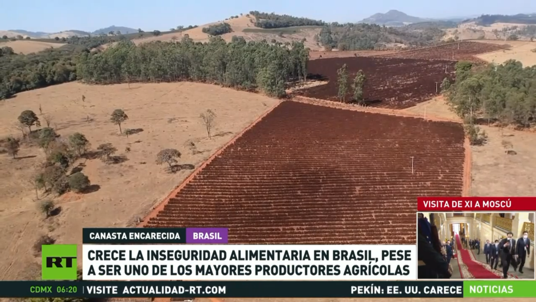 Crece la inseguridad alimentaria en Brasil, pese a ser uno de los mayores productores agrícolas