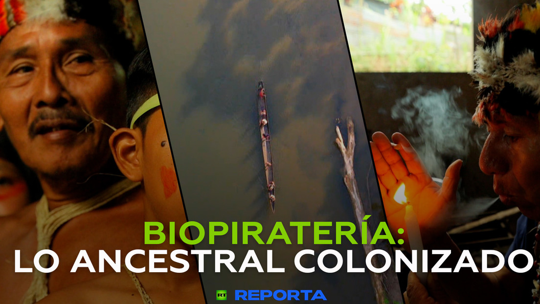 Biopiratería: lo ancestral colonizado