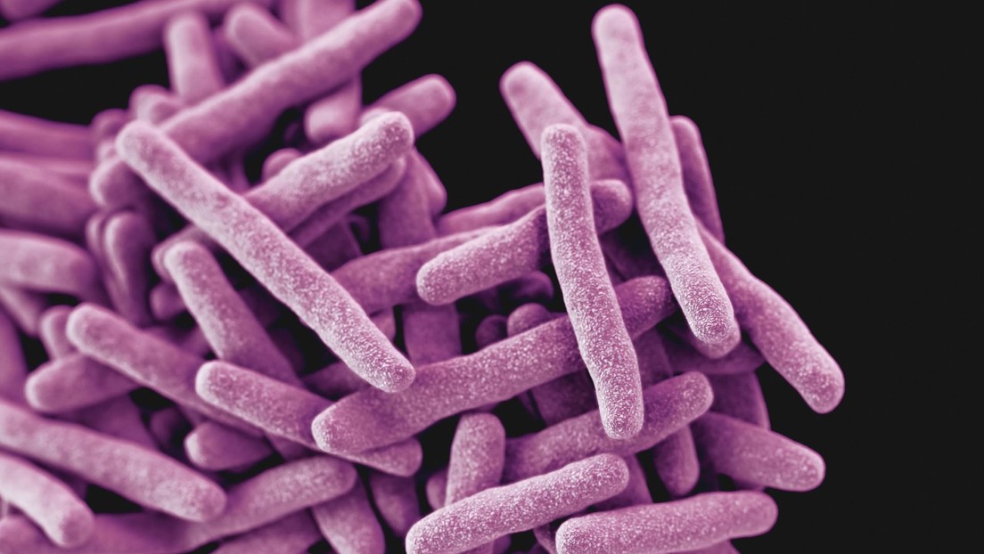 Muertes por tuberculosis aumentan en la región europea tras décadas del descenso más rápido del mundo