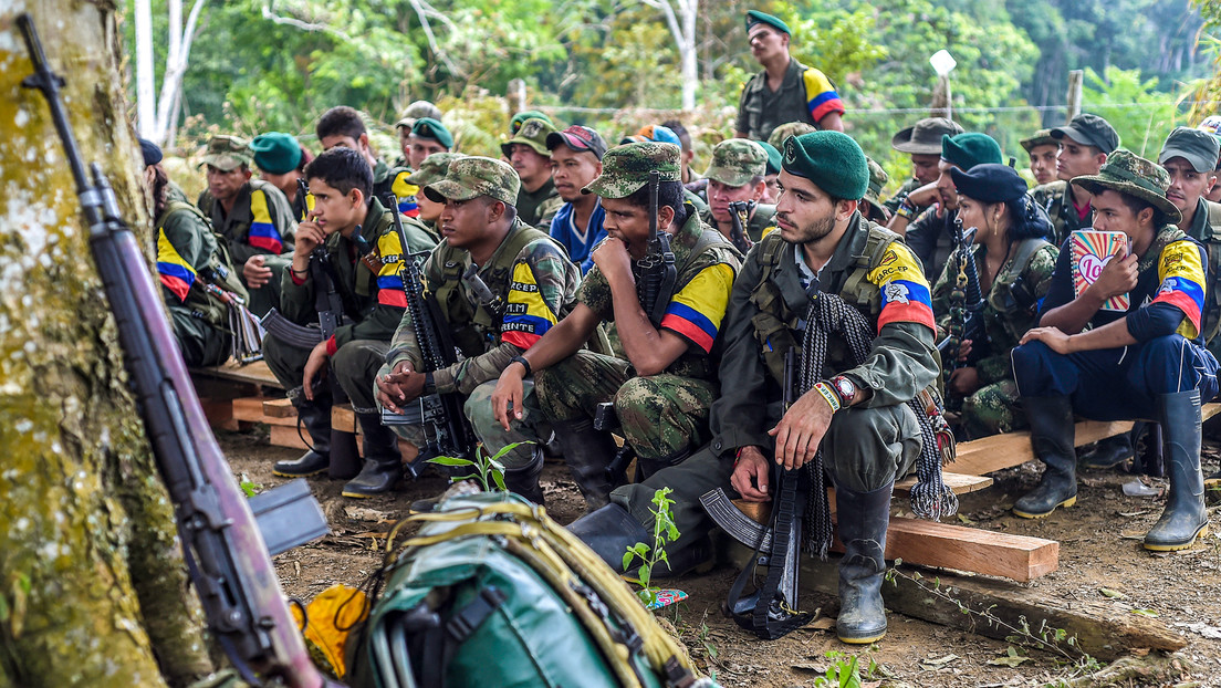 De guerrilleros a empresarios: Excombatientes de FARC se reinventan en proyectos de reinserción social