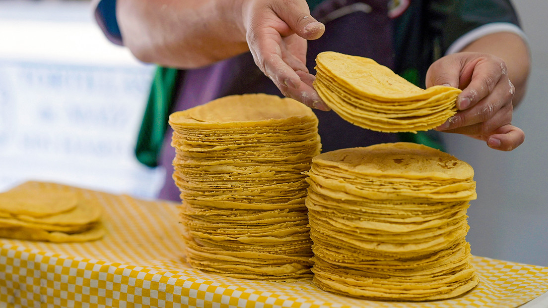 México analizará la presencia de maíz transgénico en tortillas en medio de disputa comercial con EE.UU.