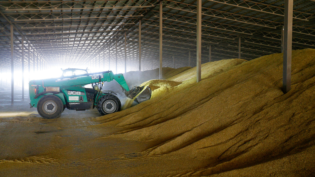Polonia lanza una amplia investigación del fraude en la importación de grano ucraniano