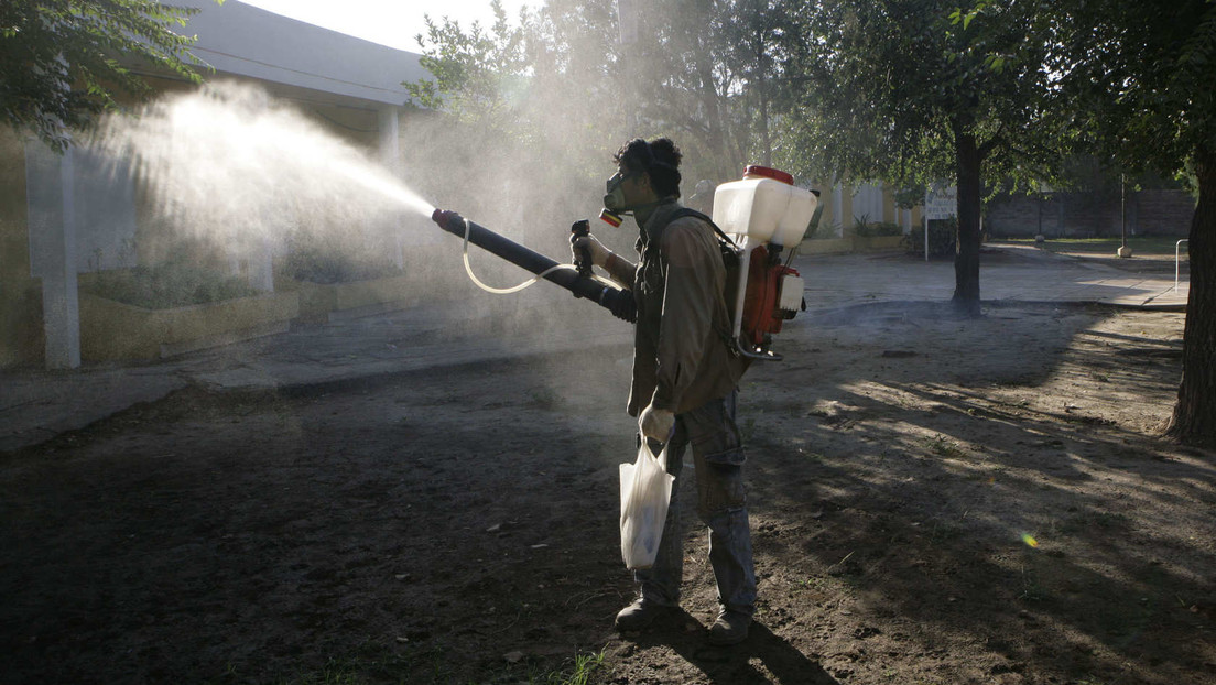 Crisis de dengue en Argentina: al menos 35 muertos y más de 41.000 infecciones