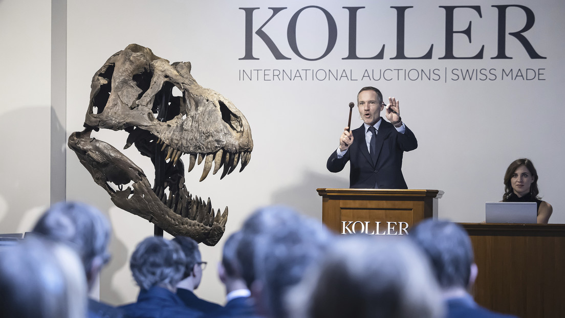 Subastan en Suiza un esqueleto de 'T. rex' por 6 millones de dólares