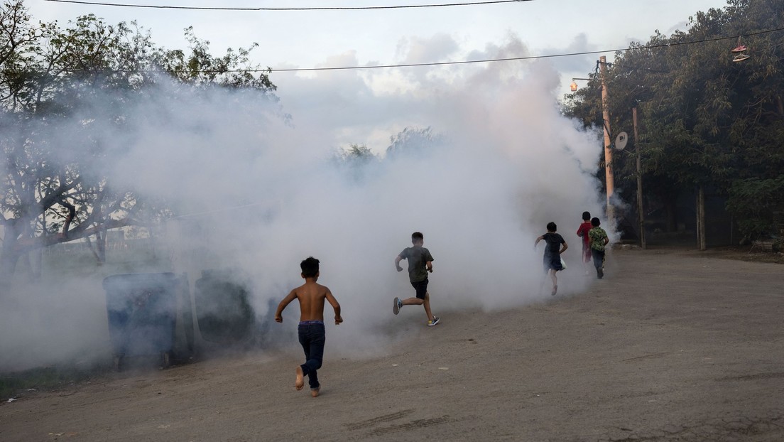 42 muertos y 54.000 infectados: El aumento de los casos de dengue pone en alerta a Argentina