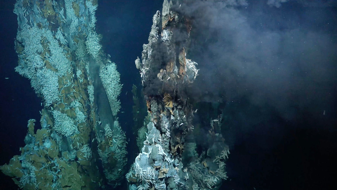 Descubren tres respiraderos hidrotermales llenos de vida en el fondo del Atlántico (VIDEO)