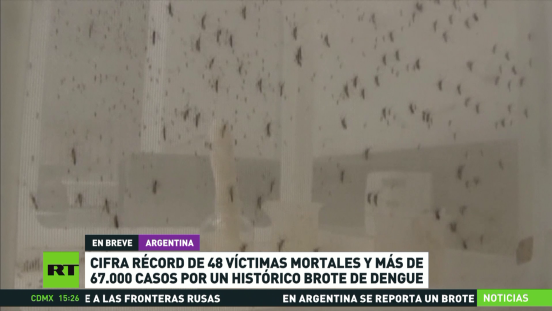 Un Brote De Dengue En Argentina Deja Un Récord De 48 Muertos Y Más De ...