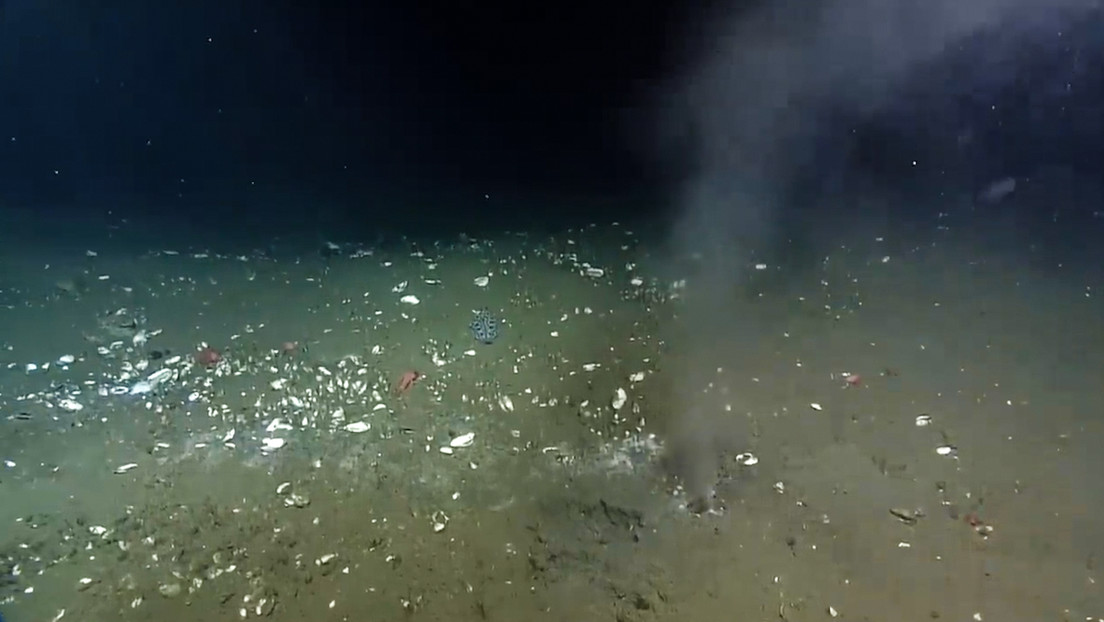 Descubren cuatro 'fugas' de un fluido cálido en la falla submarina de Cascadia
