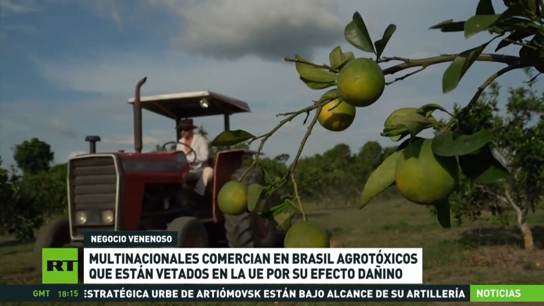 Debate en Brasil por el uso de agroquímicos tóxicos