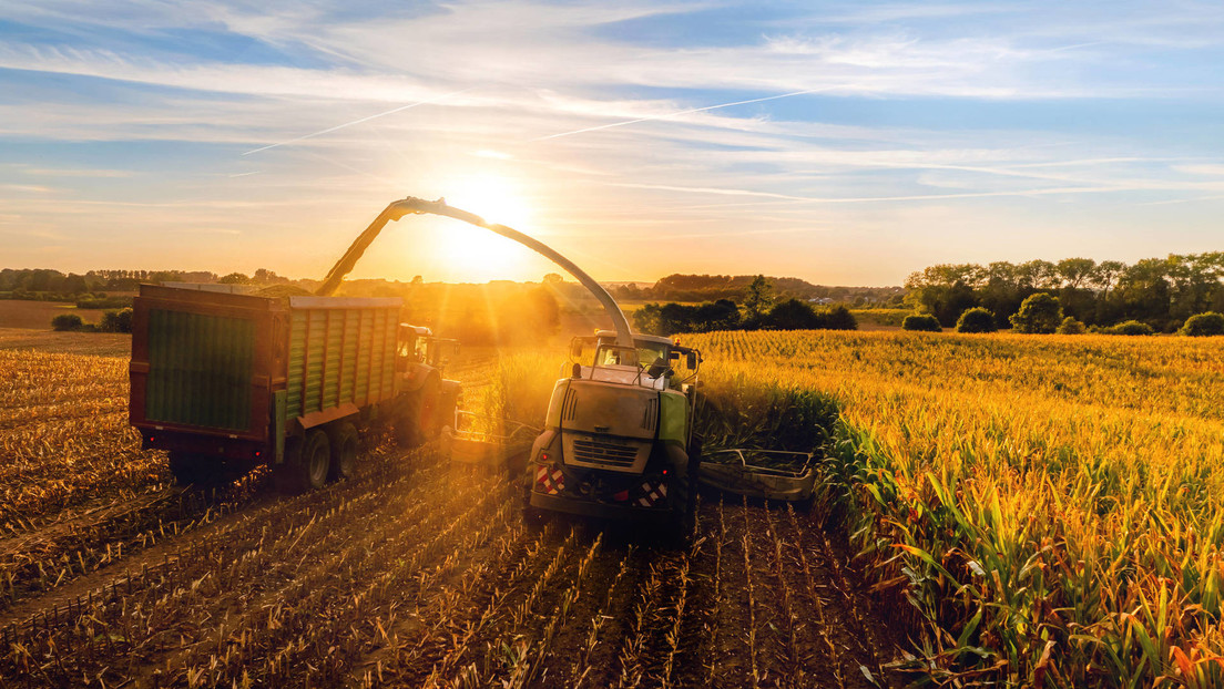 Se reanuda el tránsito de granos desde Ucrania a través de 5 países de la UE