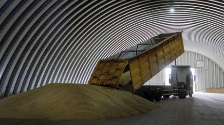Hungría se suma a Polonia y suspende las importaciones del grano ucraniano: ¿Qué hay detrás?