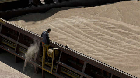 Un país más podría prohibir la importación de cereales ucranianos