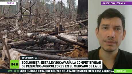 Ley de la UE sobre deforestación recibe críticas desde el sur global por su carácter discriminatorio