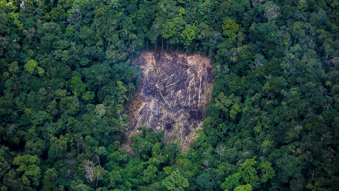 La Amazonía brasileña registra el mes de abril con menos deforestación desde 2019