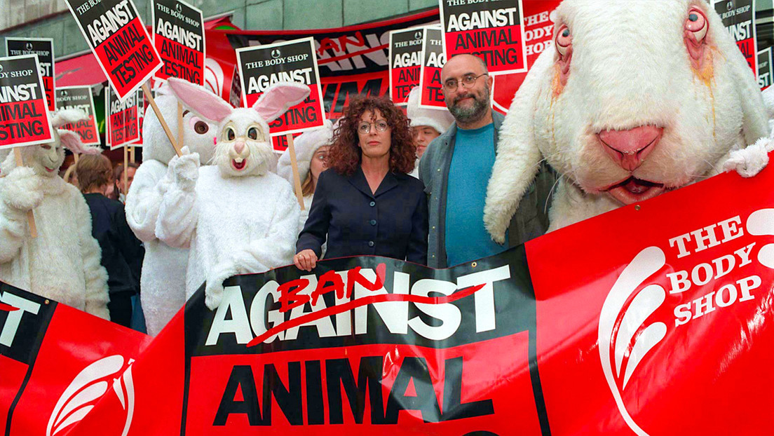 Reino Unido reanuda "en secreto" el uso de animales en pruebas de cosméticos, denuncian activistas